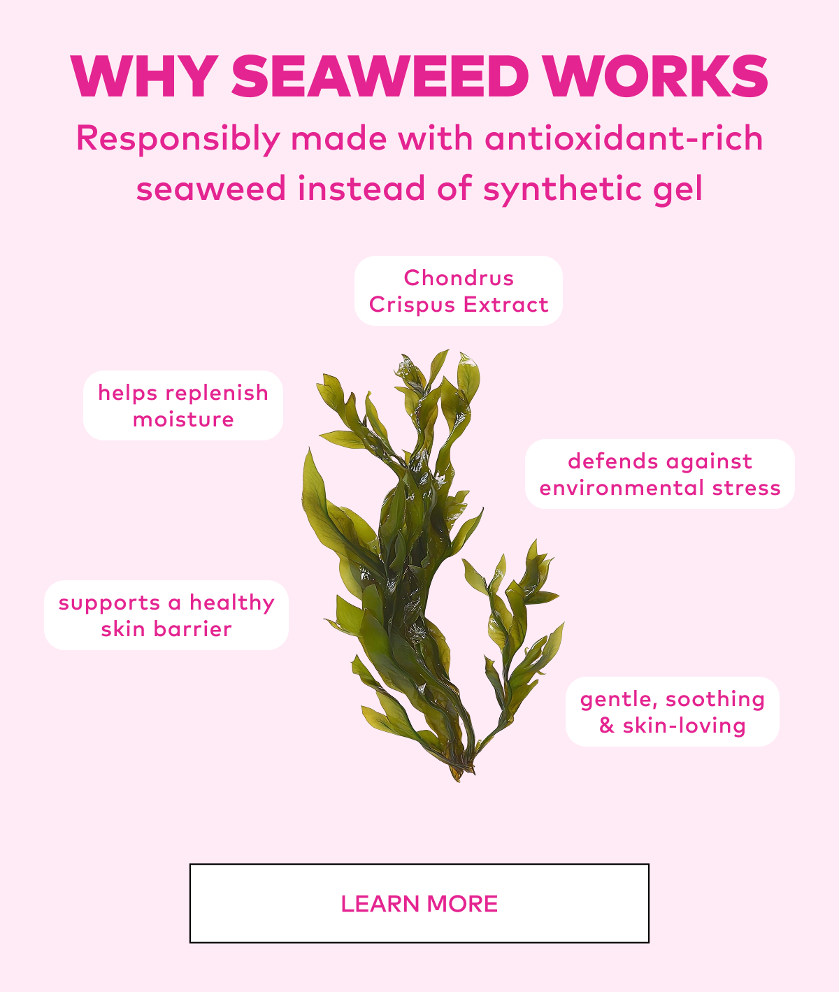 Why Seaweed Works