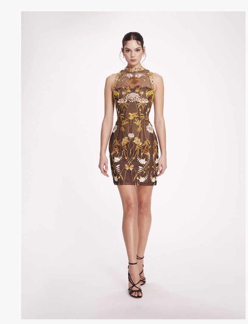 High Neck Tulle Mini Dress