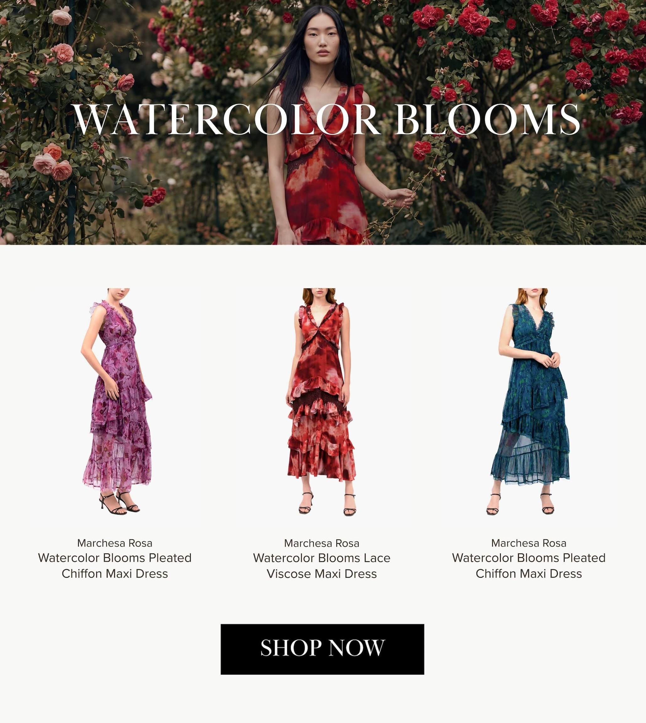 Watercolor Blooms