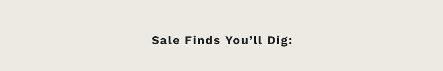 Sale Finds You'll Dig: