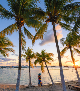 Woman standing on a caribbean beach with palm trees at sunset.