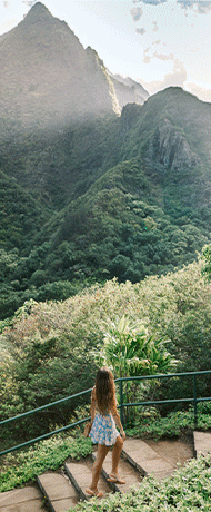 View of Hawaii.