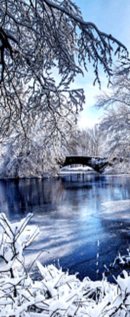 Boston in the winter.