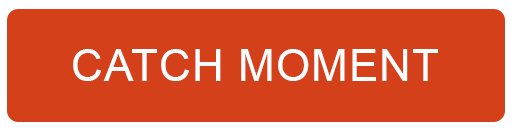 CATCH MOMENT