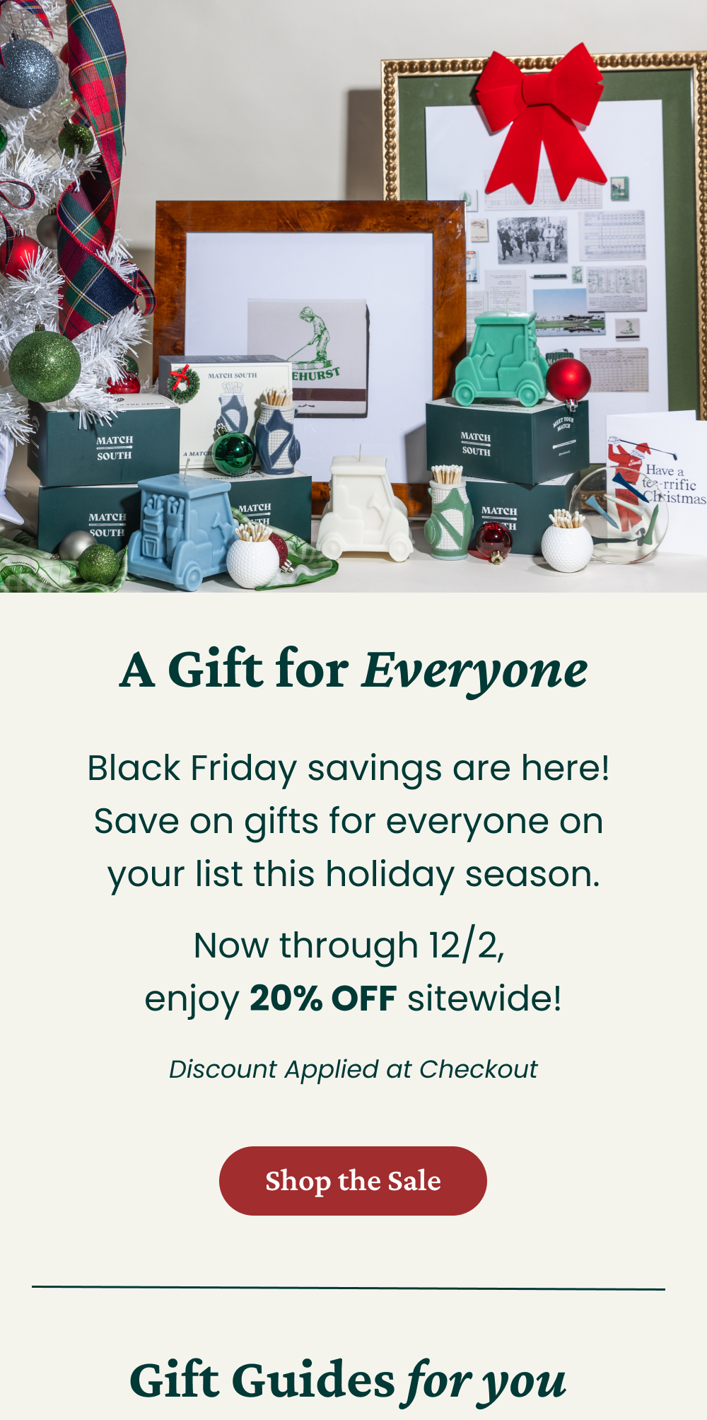 Black Friday Sale- A Gift for Everyone