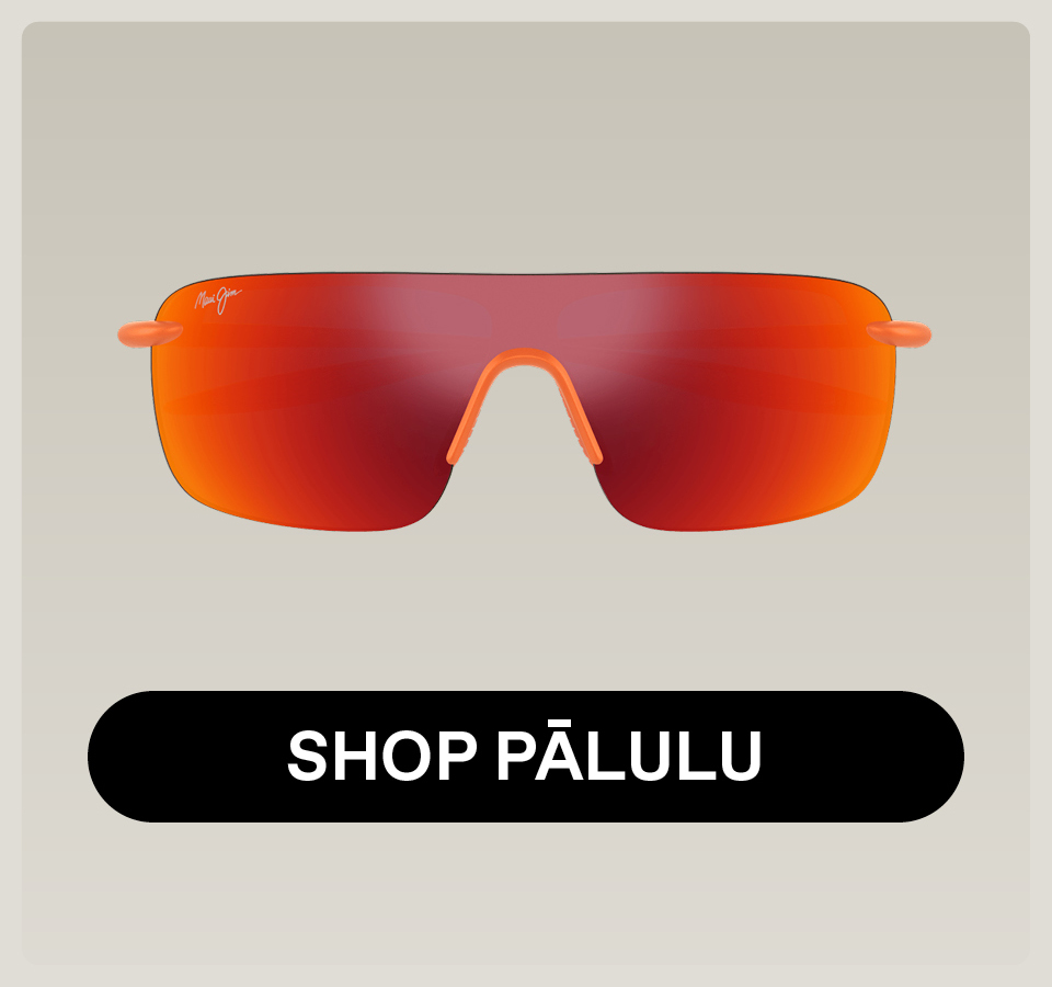 Shop Palulu