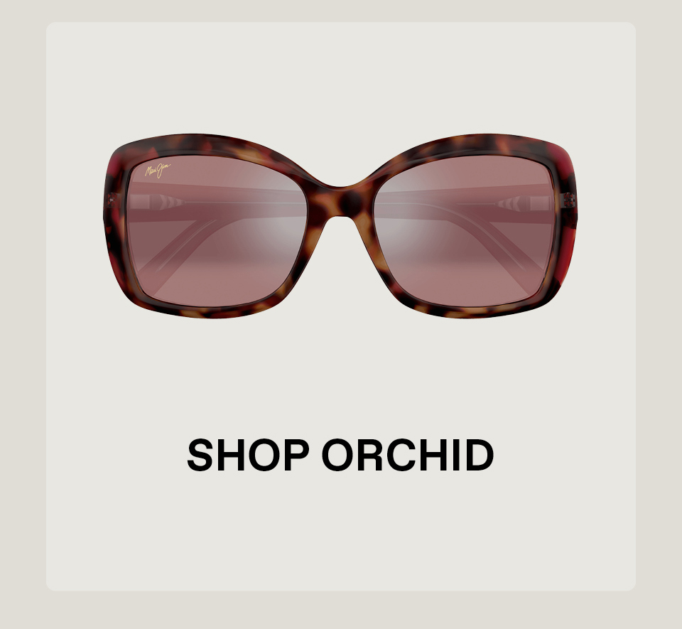 Shop Orchid