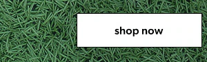 Shop now.