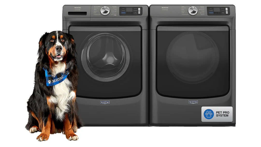 Pet and Laundry