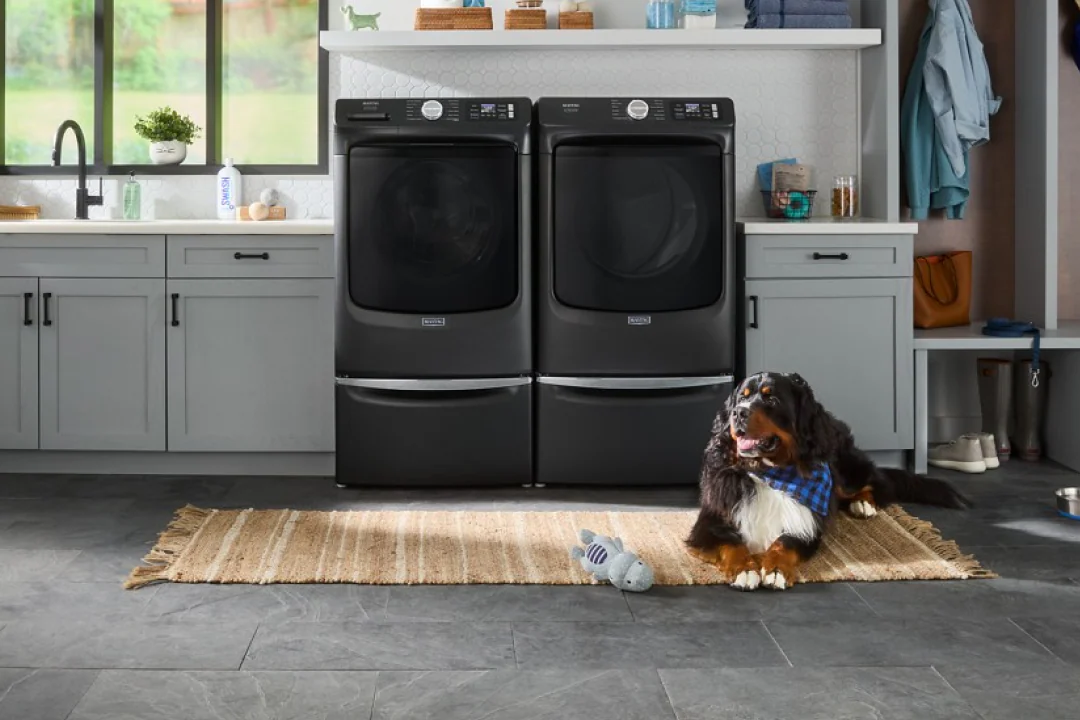Pet and laundry