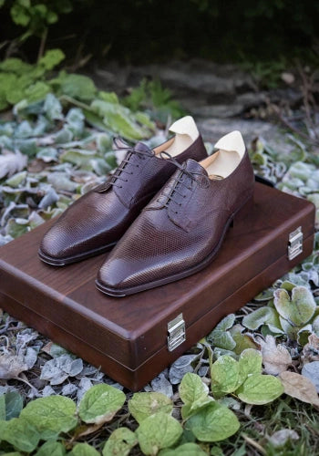 Lizard Shoes