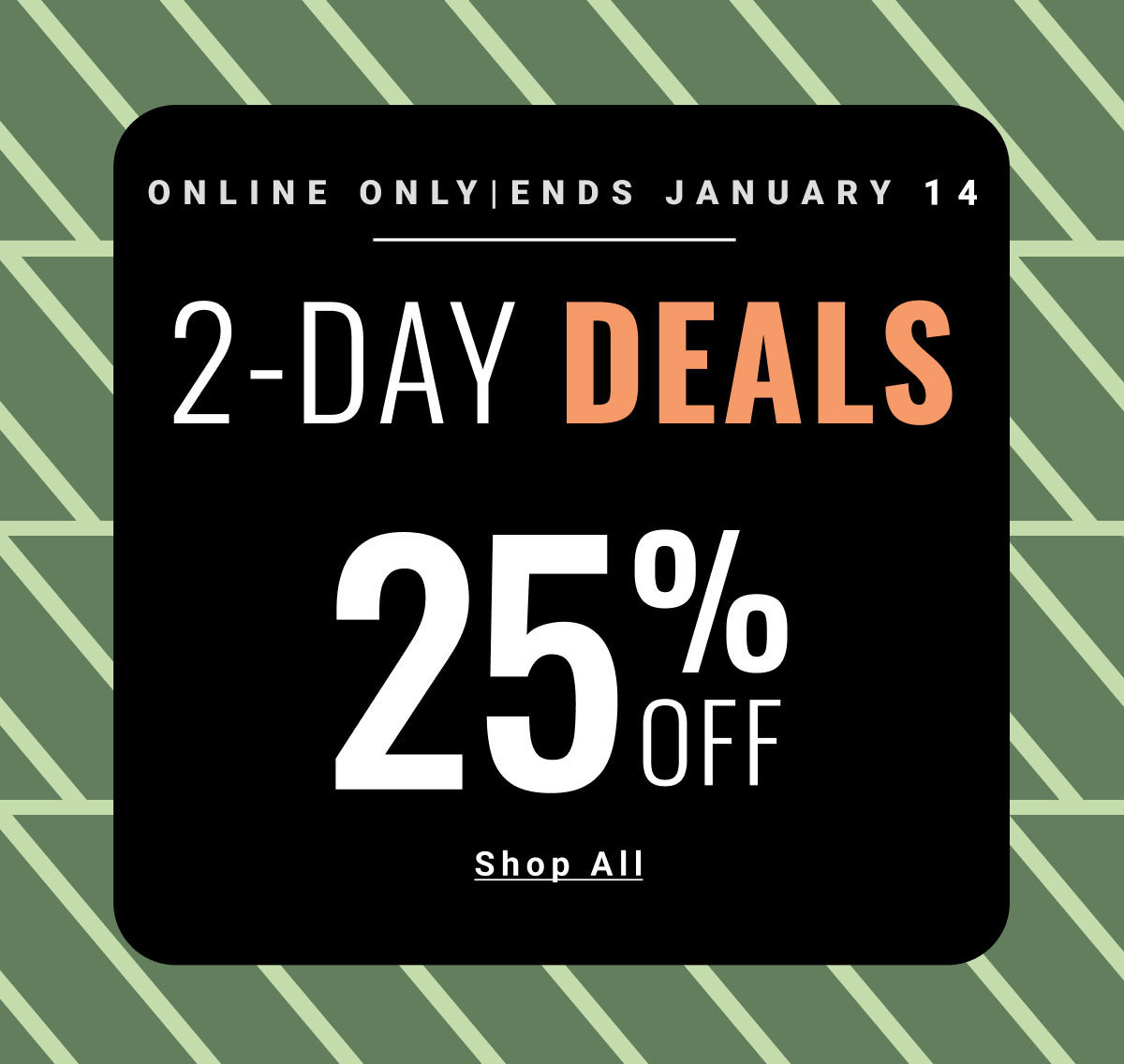 Online Only| Ends January 14 2-Day Deals 25% off Shop All