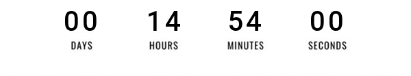 FLASH SALE COUNTDOWN TIMER