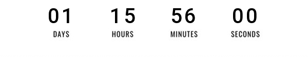 FLASH SALE COUNTDOWN TIMER