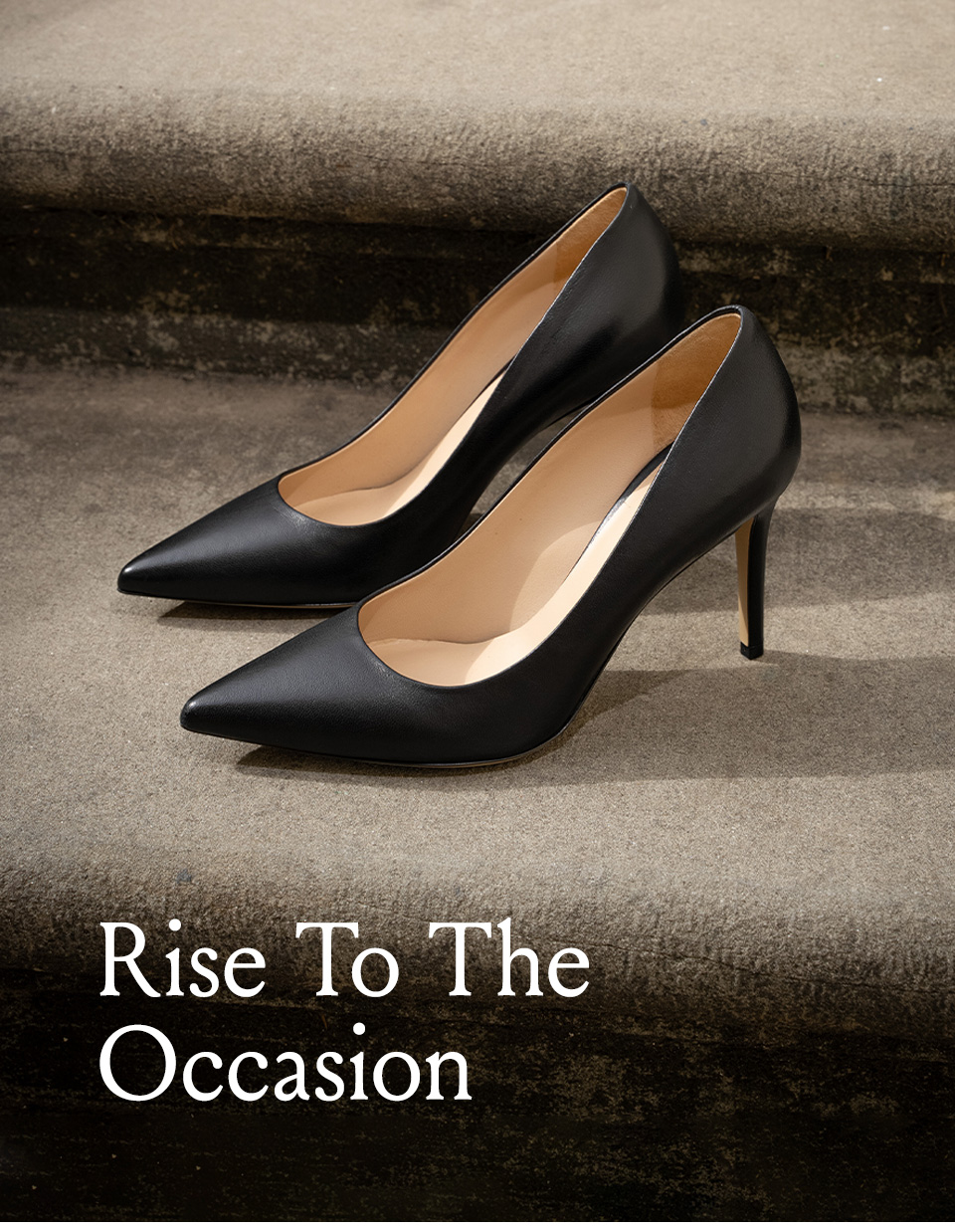 Rise To The Occasion 