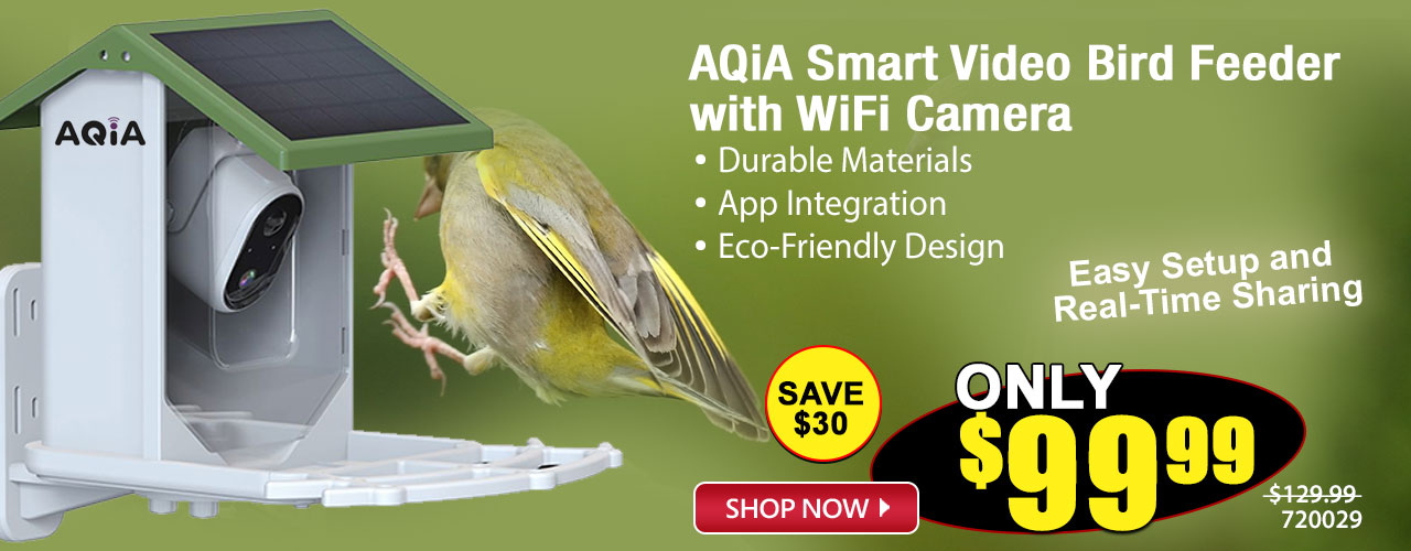 AQiA Smart Video Bird Feeder with WiFi Camera - Shop Now