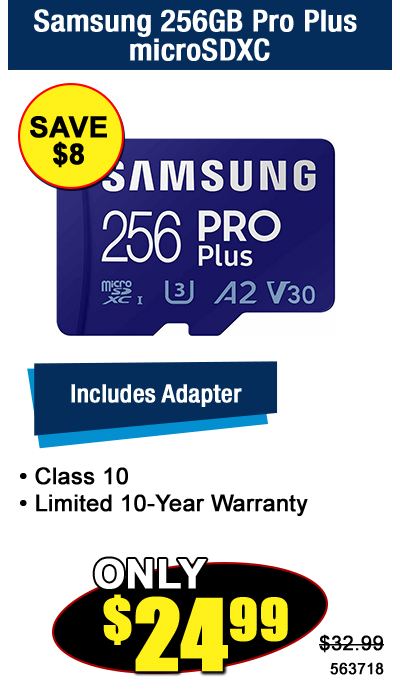 Samsung 256GB Pro Plus microSDXC
