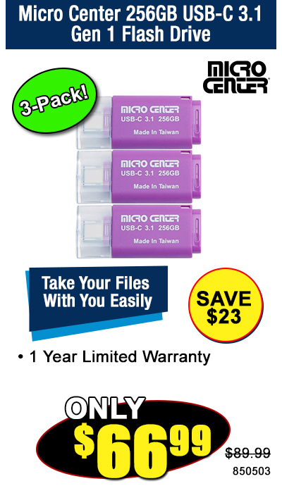Micro Center 256GB USB-C 3.1 Gen 1 Flash Drive 