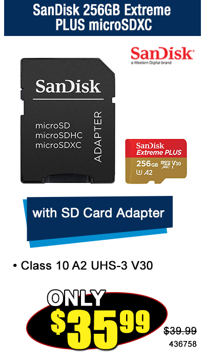 SanDisk 256GB Extreme PLUS microSDXC