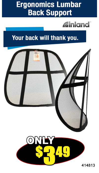 Ergonomics Lumbar Back Support