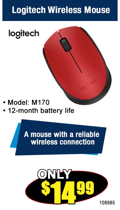 Logitech Wireless Mouse