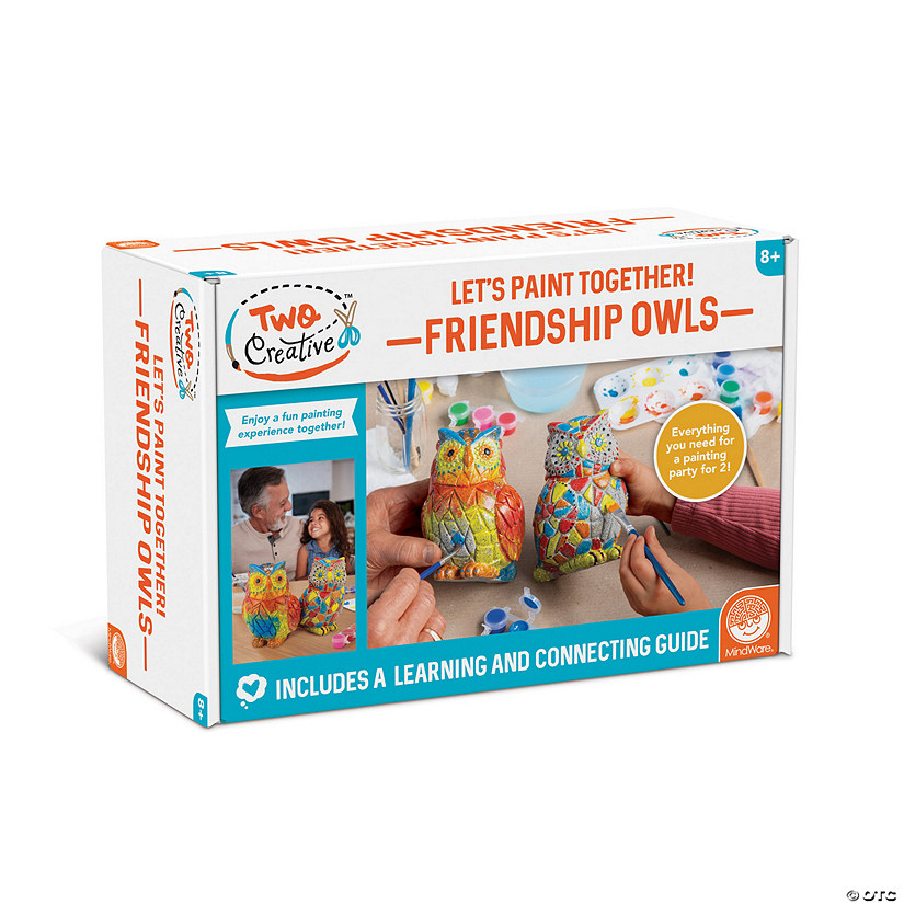 Two Creative Friendship Owls Stone Décor Painting Craft Kit for Two