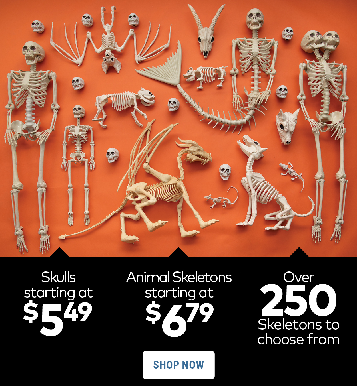 Skeletons