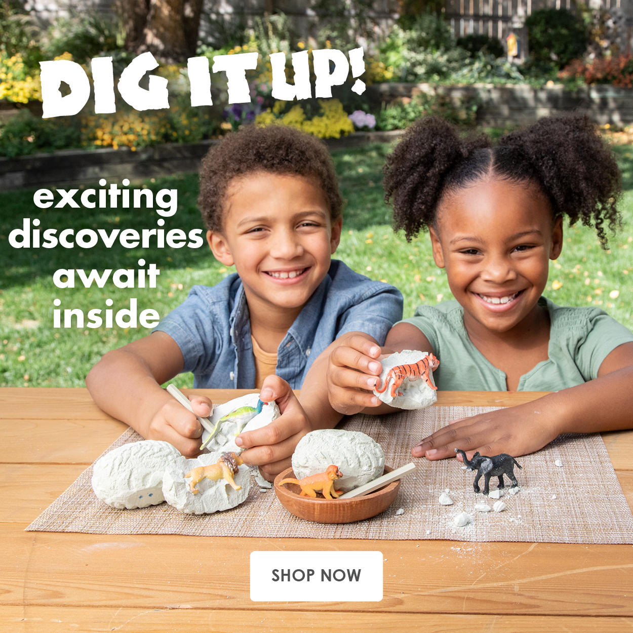 Dig into learning adventures! 