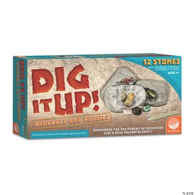 Dig It Up! Fossils & Minerals