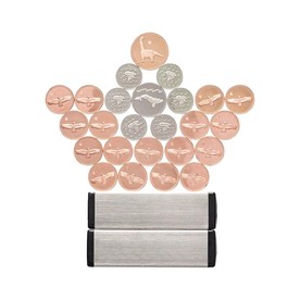 Magic Penny Magnet Kit