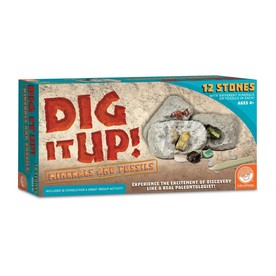 Dig It Up! Fossils & Minerals