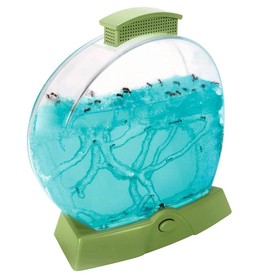 Educational Insights Geosafari Day & Night Ant Farm