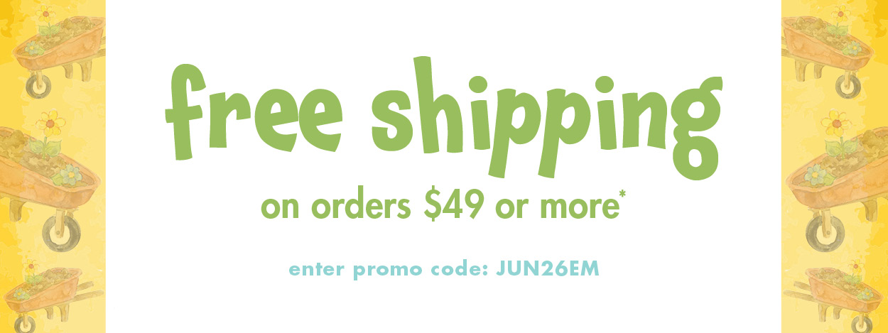 Free Shipping on Orders $49 or More*