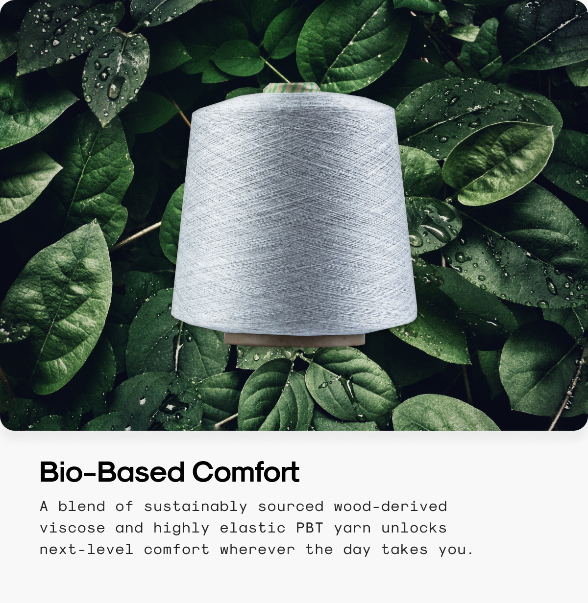 Bio-Based Comfort
