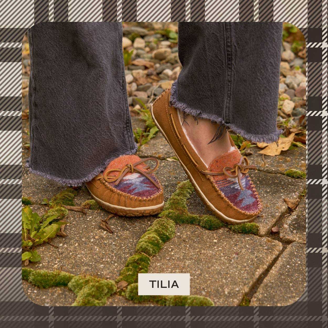 Tilia