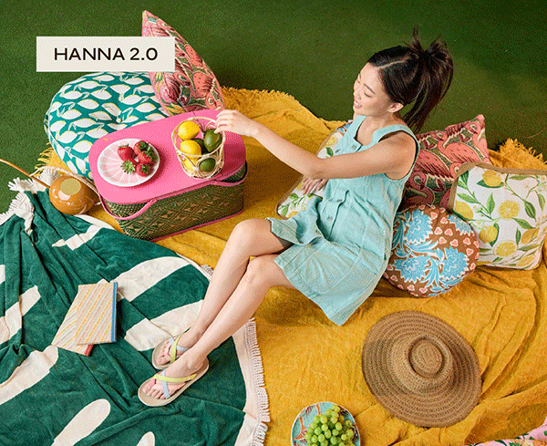 Hanna 2.0