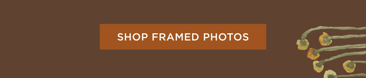 Shop Framed Photos