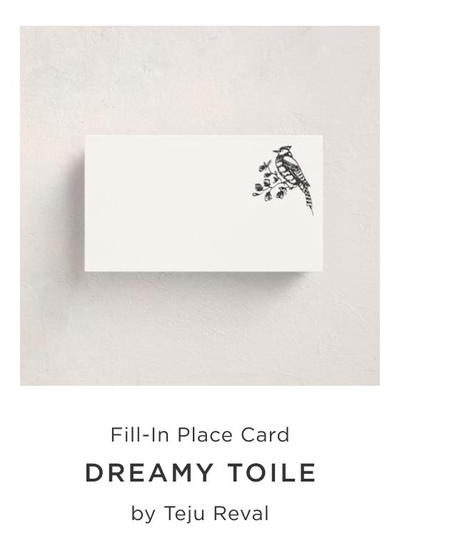 Dreamy Toile