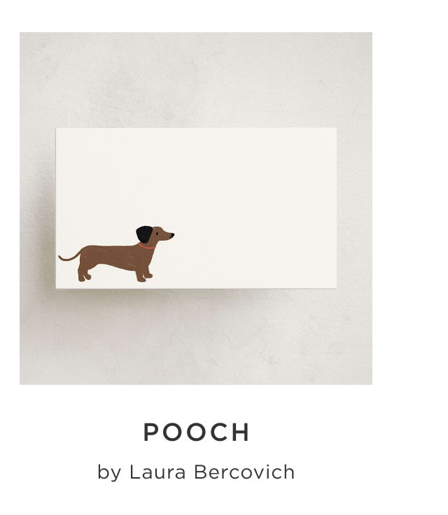 Pooch