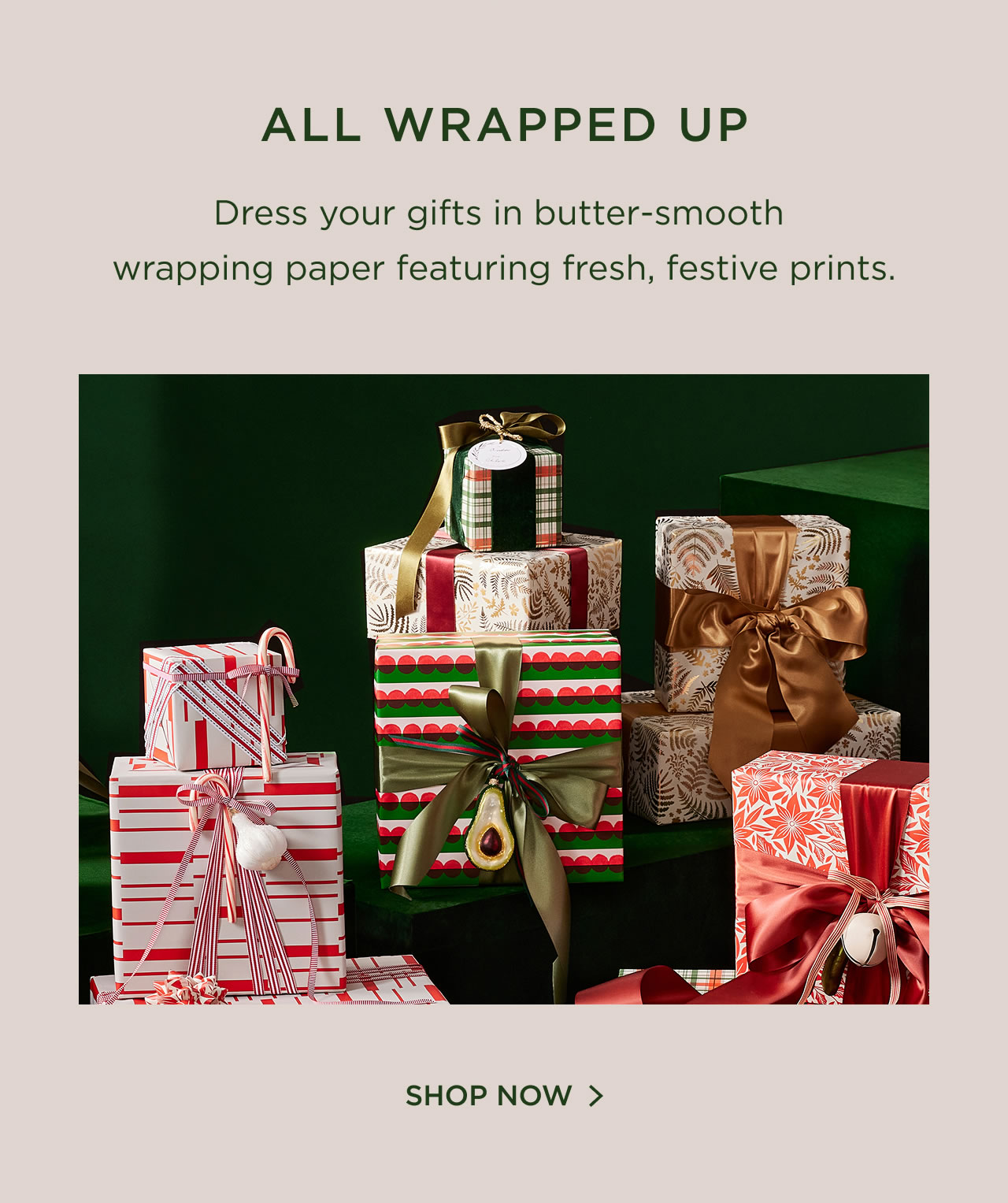 Shop Now