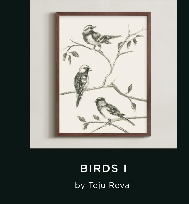 Birds I