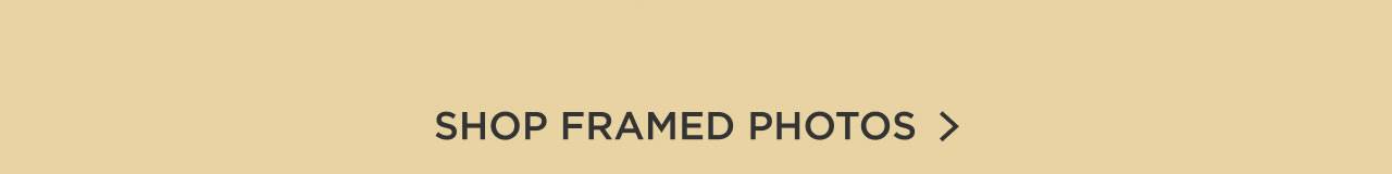 Shop Framed Photos