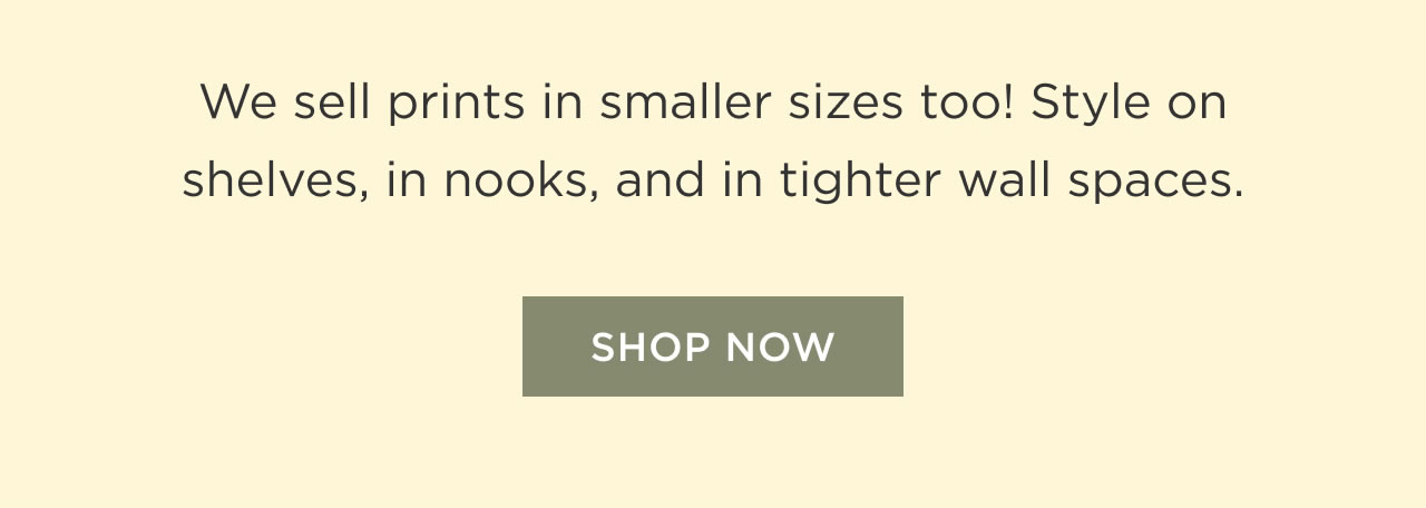 Shop Now
