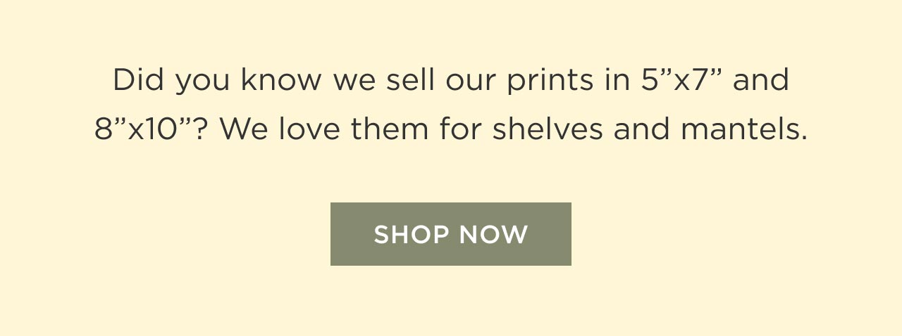 Shop Now