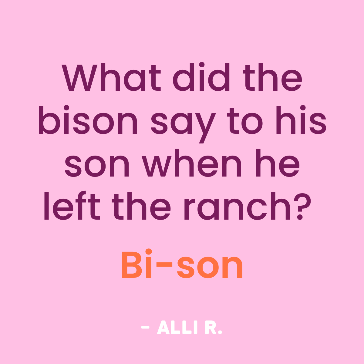 Dad Joke Contest Winner