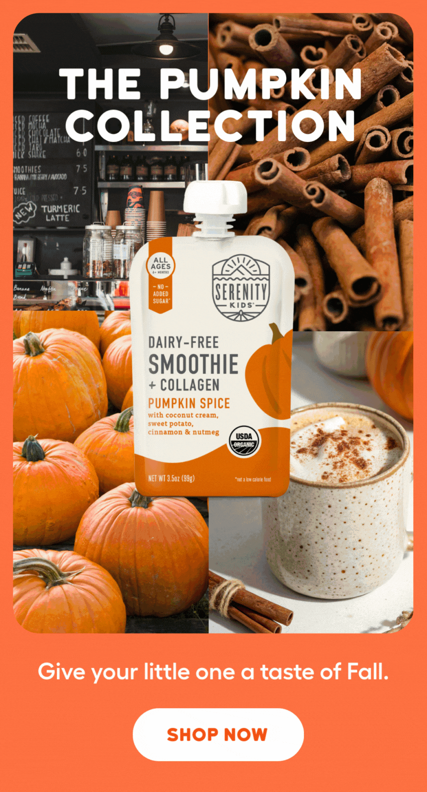 The Pumpkin Collection