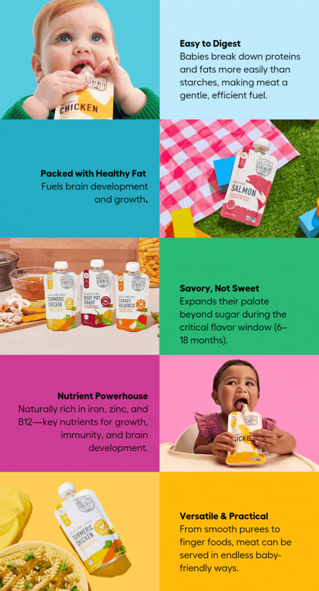 Why meat is a great first food for babies!