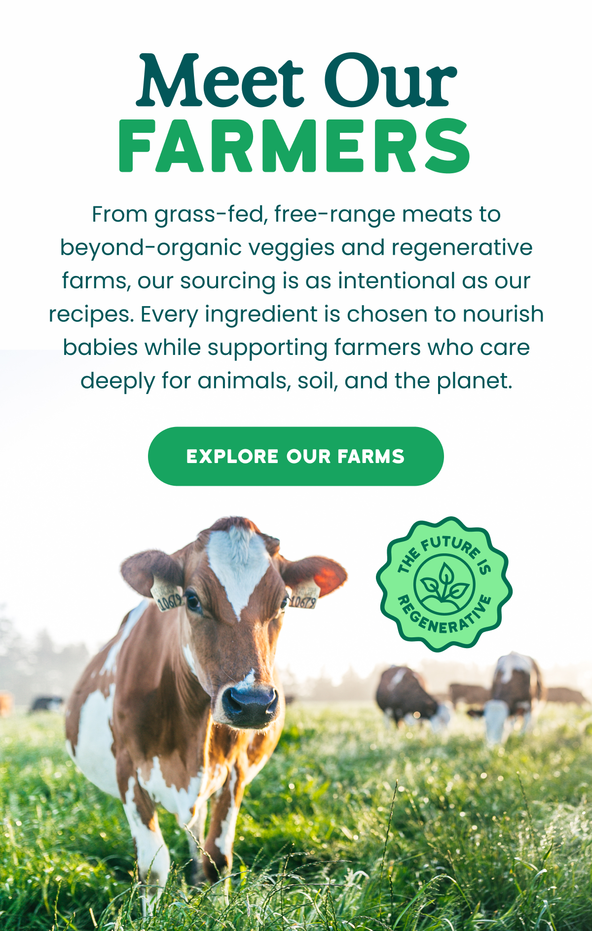 Meet Our Farmers