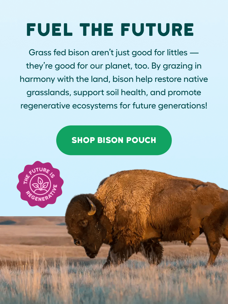 Grass-fed bison help heal our planet through regenerative practices