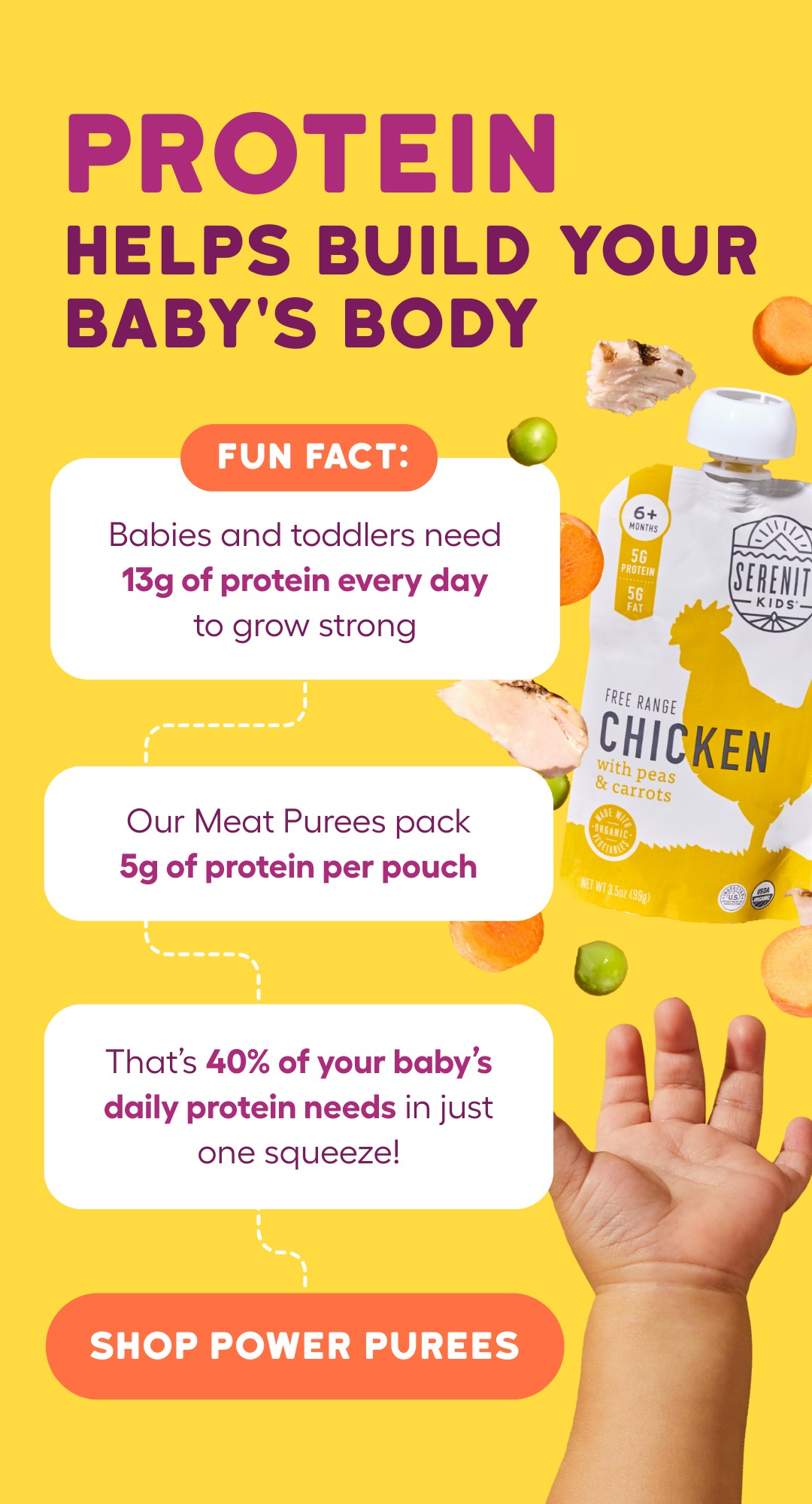 Protein Helps Build Your Baby's Body